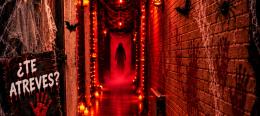 Túnel del Terror