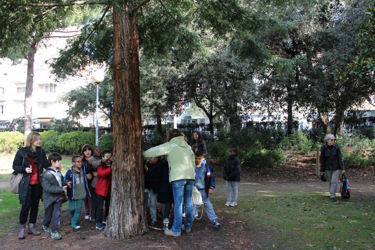 Amics dels Arbres. Fotografia cedida per Abul Fazil Amics dels Arbres. Fotografia cedida per Abul Fazil